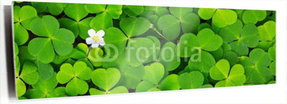 cartoon-wallpaper-22.jpg